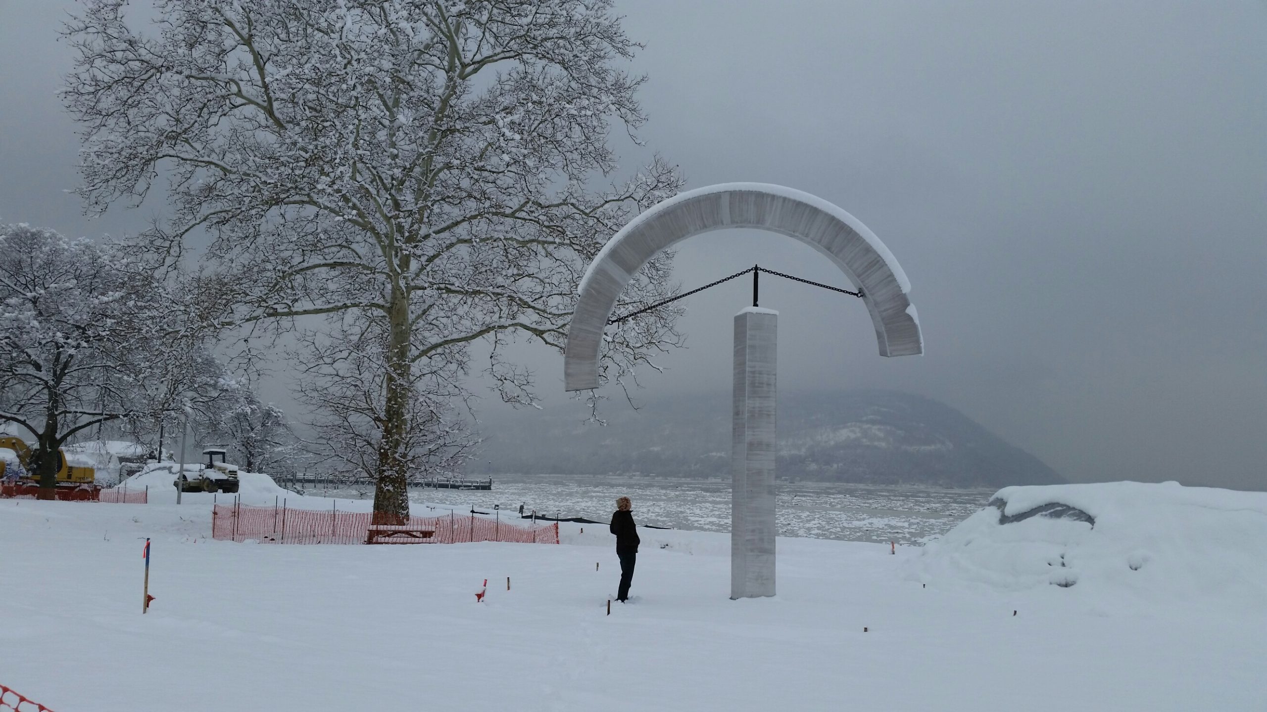 Arc - William Logan