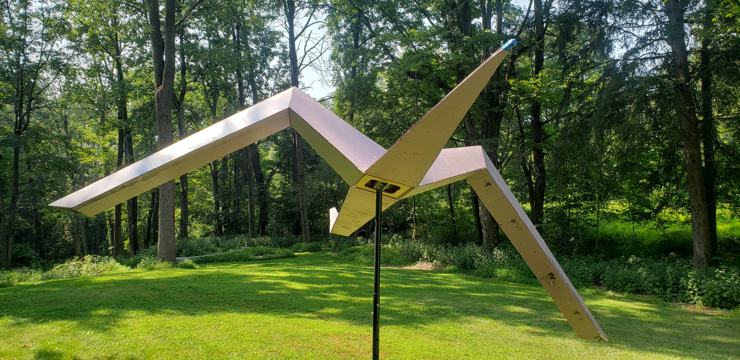 Bird 3 - William Logan